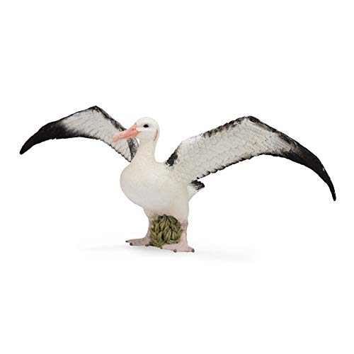 Collecta - Wandernde Albatros - L - 88765 (90188765), Weiß mit Schwarz Oder Dunkelgrau Collecta - Wandernde Albatros - L - 88765 (90188765), Weiß mit Schwarz Oder Dunkelgrau von Collecta