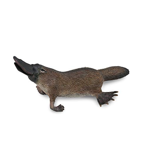 Collecta - Collecta-Ornitorrinco-M-88795 (90188795), Mehrfarbig von Collecta