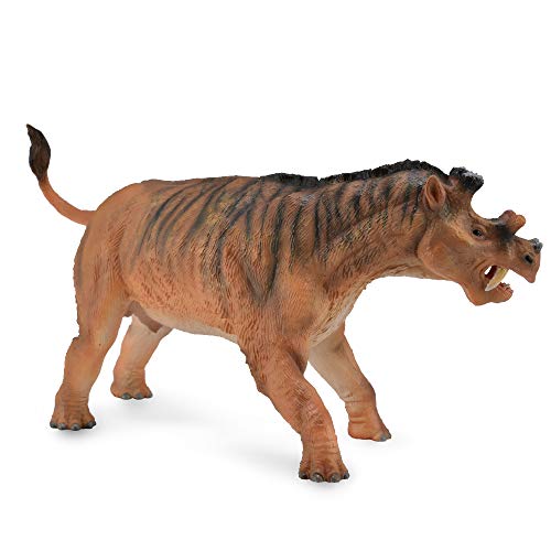 Collecta von Collecta
