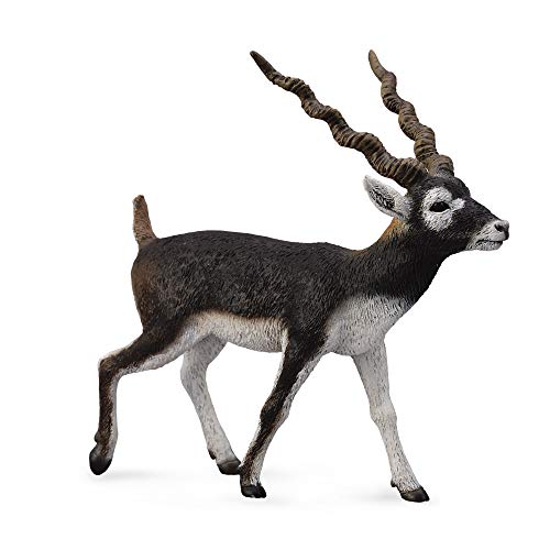 Collecta Wildlife Blackbuck Spielzeugfigur – authentisches handgemaltes Modell von Collecta