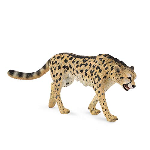 Collecta – 3388608 – Figur – Wildtiere – König Cheetah von Collecta