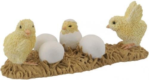 CollectA Küken schlüpfend von CollectA