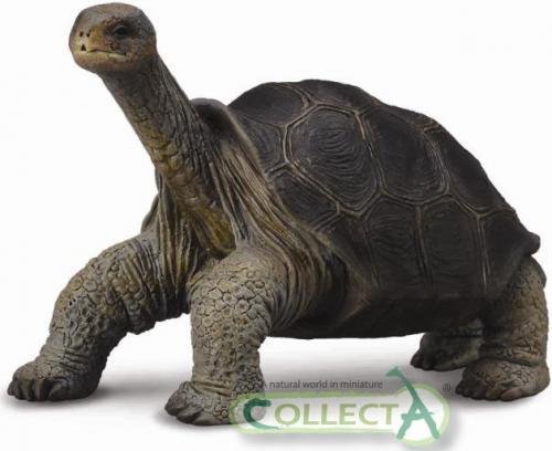 CollectA Pinta-Riesenschildkröte - Vorbestellung ca. Juni 2013 von CollectA