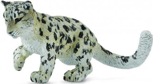 CollectA Schneeleopard Junges - spielend CollectA Schneeleopard Junges - spielend von CollectA