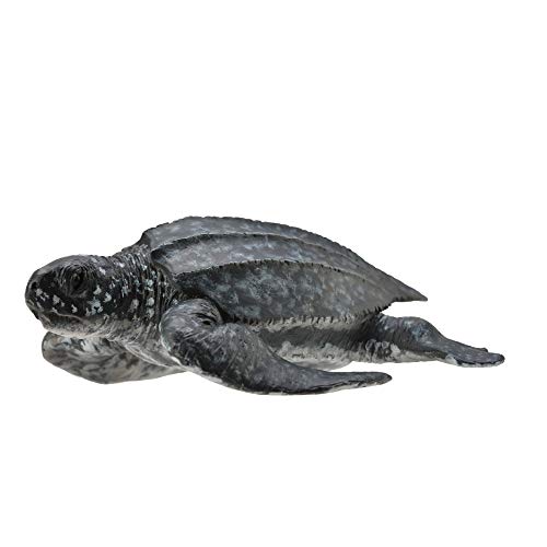 Collecta – col88680 – Lederschildkröte – Größe M von Collecta