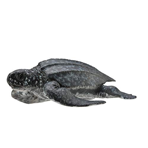 Collecta – col88680 – Lederschildkröte – Größe M von Collecta