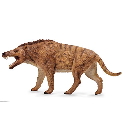 Collecta Andrewsarchus Maßstab 1:20 von Collecta