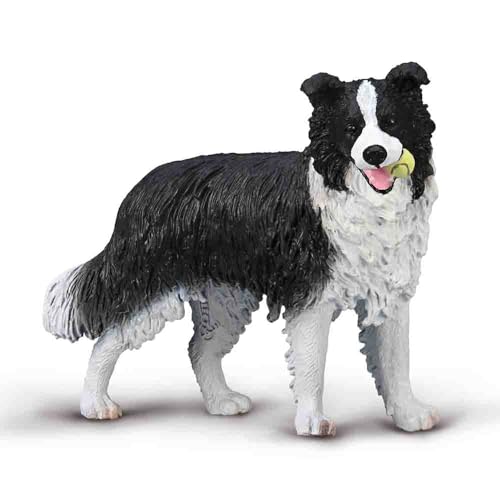 Border Collie (L) von Collecta