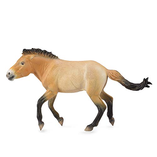 CollectA 88602 - Przewalski Hengst von Collecta