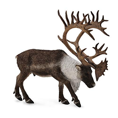 CollectA 88709 - Kanadisches Waldkaribu CollectA 88709 - Kanadisches Waldkaribu von Collecta