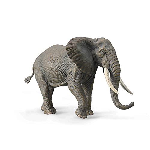 Collecta Figurka SÄšoÄš afrykaÄšski 88966 [FIGURKA] von Collecta