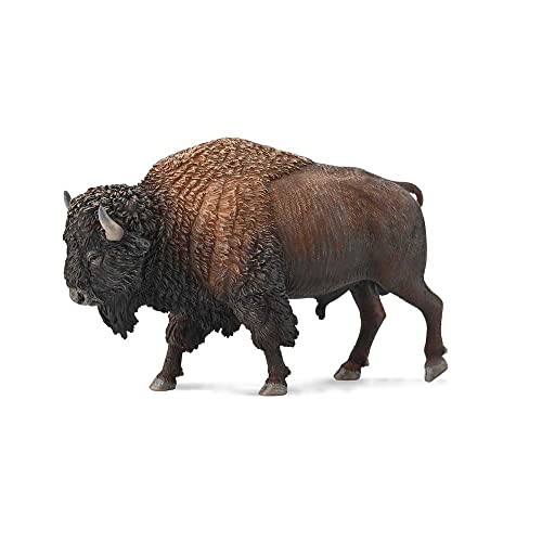 CollectA Amerikanischer Bison von Collecta