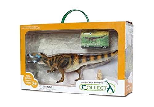 Collecta Carcharodontosaurus - Deluxe Kasten von Collecta