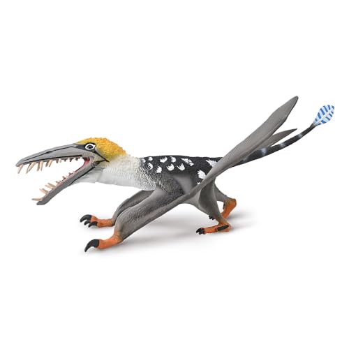 CollectA Dearc Sgiathanach mit beweglichem Kiefer (Maßstab 1:3) – Realistisches handgefertigtes Dinosaurier-Spielzeug, prähistorische Figuren & Modelle, Tiergeschenke für Kleinkinder und Kinder, ab 3 von Collecta