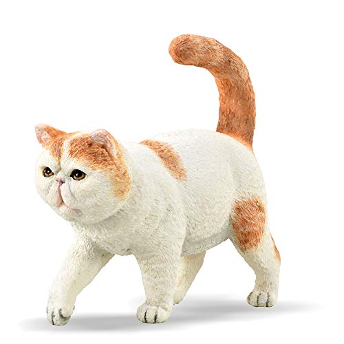 Collecta Egzotyczny krótkowłosy/Exotic Shorthair KOT von Collecta