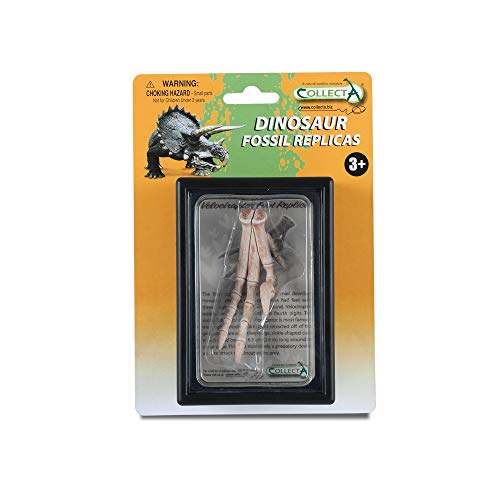 CollectA Fuß-Nachbildung des Velociraptor-Box-Sets von Collecta