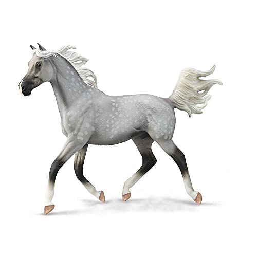 CollectA Halb arabischer Hengst in Grau getupft – Deluxe Maßstab 1:12 CollectA Halb arabischer Hengst in Grau getupft – Deluxe Maßstab 1:12 von Collecta