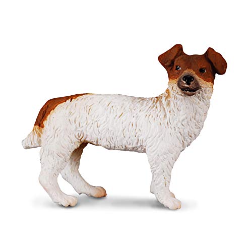 CollectA Jack Russell Terrier von Collecta