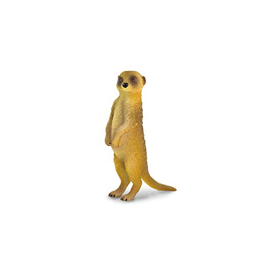Collecta Surykatka szara S von Collecta