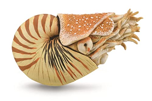 Collecta spieltier Urgeschichte Nautilus 10 cm ABS beige von Collecta