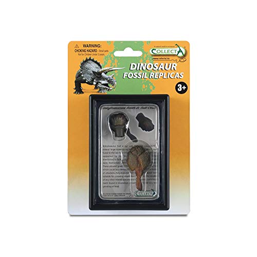 CollectA Zahn- und Schwanz-Klub von Ankylosaurus Box Set von Collecta