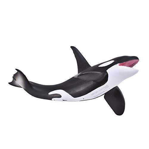Collecta – 3388043 – Figur – Meerestiere – epaulard Collecta – 3388043 – Figur – Meerestiere – epaulard von Collecta