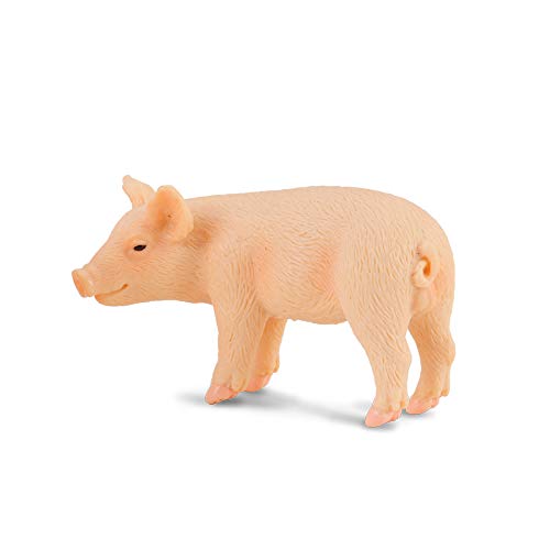 Collecta – 3388063 – Dinosaurierfigur Bauernhof – Zielkugel, 970009 stehend Collecta – 3388063 – Dinosaurierfigur Bauernhof – Zielkugel, 970009 stehend von Collecta