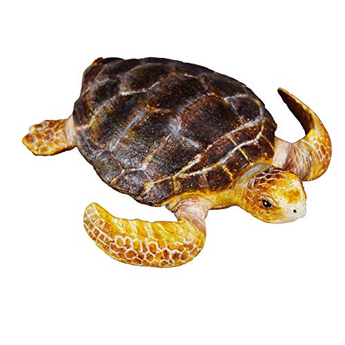 Collecta – 3388094 – Figur – Meerestiere – Schildkröte Collecta – 3388094 – Figur – Meerestiere – Schildkröte von Collecta