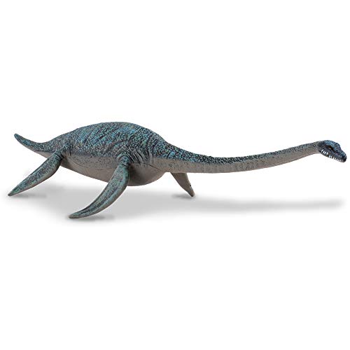 Collecta – 3388139 – Figur – Dinosaurier – Urzeit – hydrotheosaure Collecta – 3388139 – Figur – Dinosaurier – Urzeit – hydrotheosaure von Collecta
