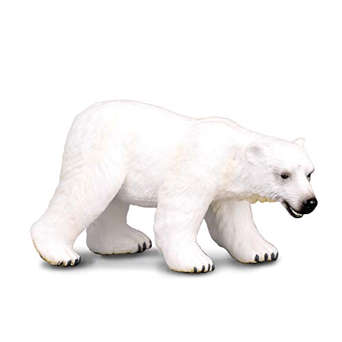 Collecta – 3388214 – Figur – Wildtiere – Bär – weiß Collecta – 3388214 – Figur – Wildtiere – Bär – weiß von Collecta