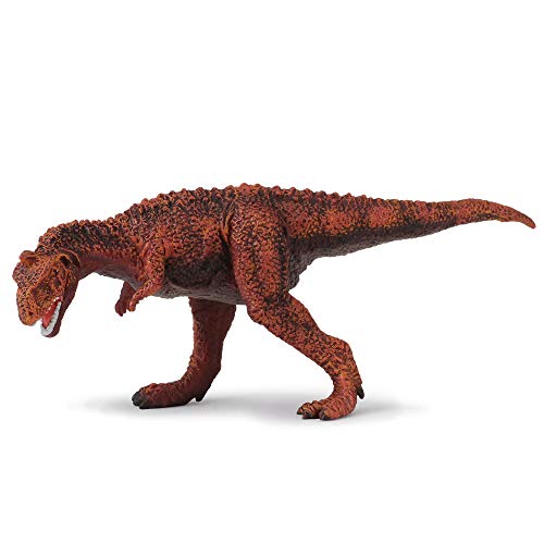Collecta – 3388402 – Figur – Dinosaurier – Urzeit – Majungatholus Collecta – 3388402 – Figur – Dinosaurier – Urzeit – Majungatholus von Collecta