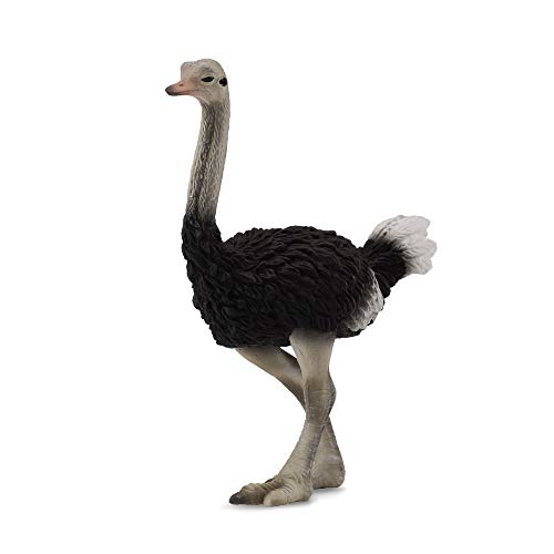 Collecta – 3388459 – Figur – Wildtiere – Strauß Collecta – 3388459 – Figur – Wildtiere – Strauß von Collecta