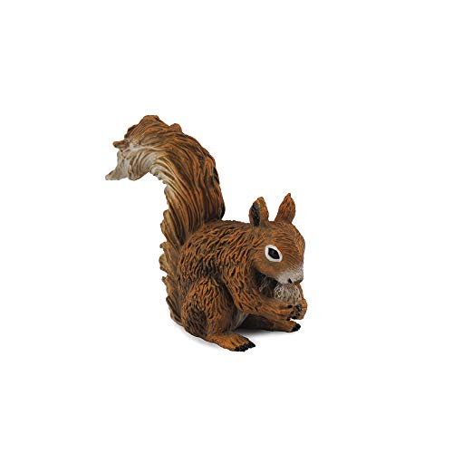 Collecta – 3388467 – Figur – Tiere des Waldes – Eichhörnchen Roux isst von Collecta