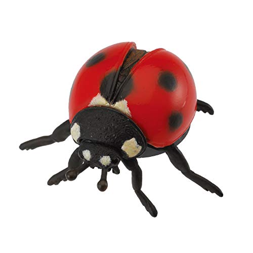 Collecta – 3388474 – Figur – Insekten – Marienkäfer von Collecta
