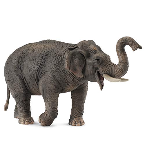 Collecta – 3388486 – Figur – Wildtiere – Asiatischer Elefant Collecta – 3388486 – Figur – Wildtiere – Asiatischer Elefant von Collecta