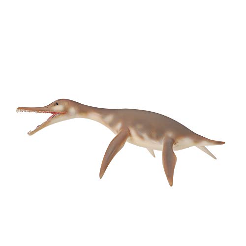 Collecta – 3388520 – Figur – Dinosaurier – Urzeit – Dolichorhynchops von Collecta