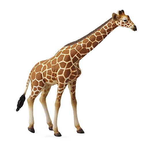 Collecta – 3388534 – Figur – Wildtiere – Giraffe Collecta – 3388534 – Figur – Wildtiere – Giraffe von Collecta