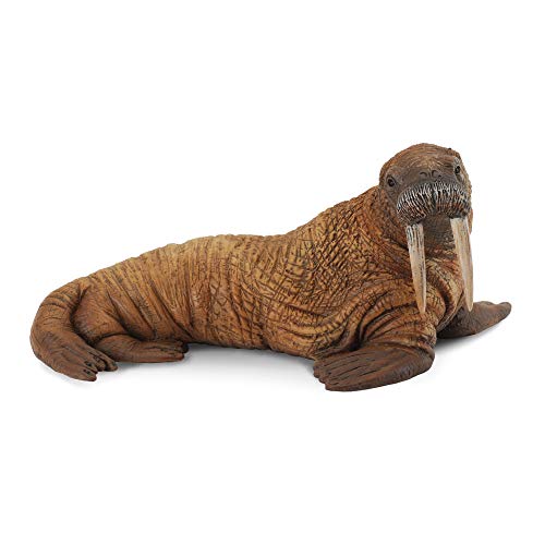 Collecta – 3388569 – Figur – Meerestiere – Morse Collecta – 3388569 – Figur – Meerestiere – Morse von Collecta