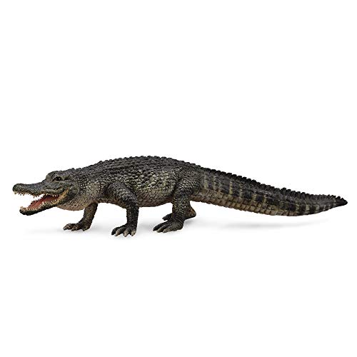 Collecta von Collecta
