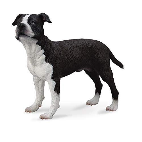 Collecta – 3388610 – Figur – Tier – Hund – American Staffordshire Terrier von Collecta
