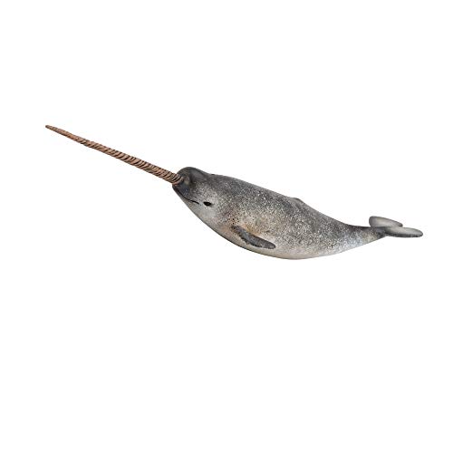 Collecta 88615 Narwhal Tiere Tierspielzeug, Einfarbig, Grau Collecta 88615 Narwhal Tiere Tierspielzeug, Einfarbig, Grau von Collecta