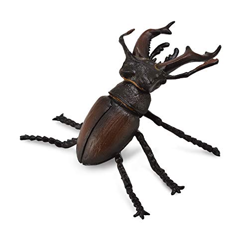 Collecta 88703 Hirschkäfer Insekten von Collecta