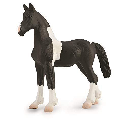 Collecta von Collecta