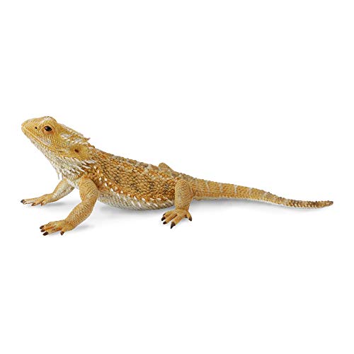 Collecta Bearded Dragon Figur Lizard von Collecta