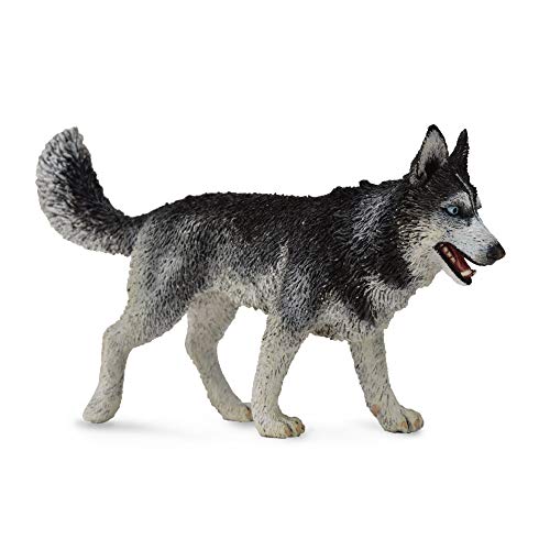 Collecta – Col88707 – Sibirischer Husky – Größe L von Collecta