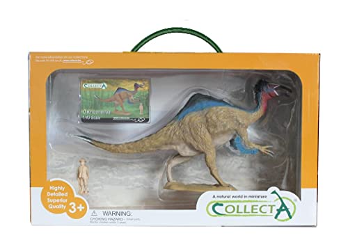 Collecta Deinocheirus Deluxe Kasten von Collecta