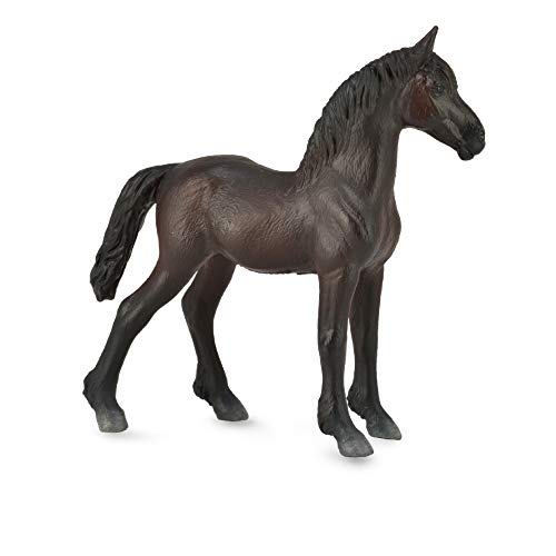 Collecta von Collecta