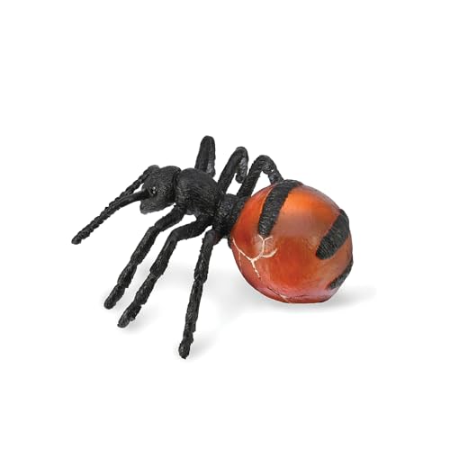 Collecta von Collecta