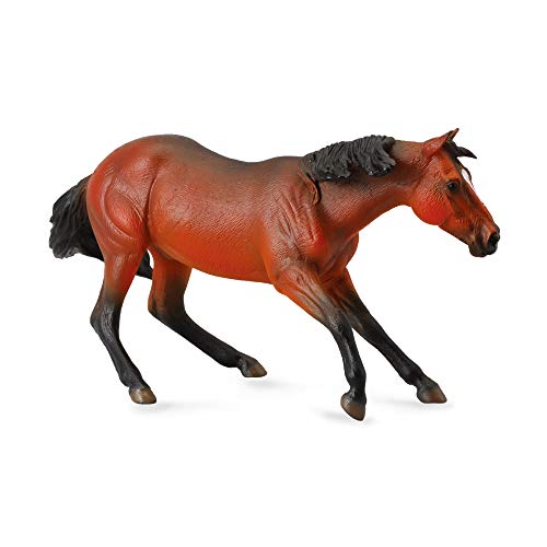 Collecta von Collecta
