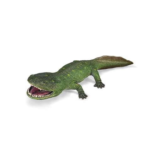 Collecta von Collecta